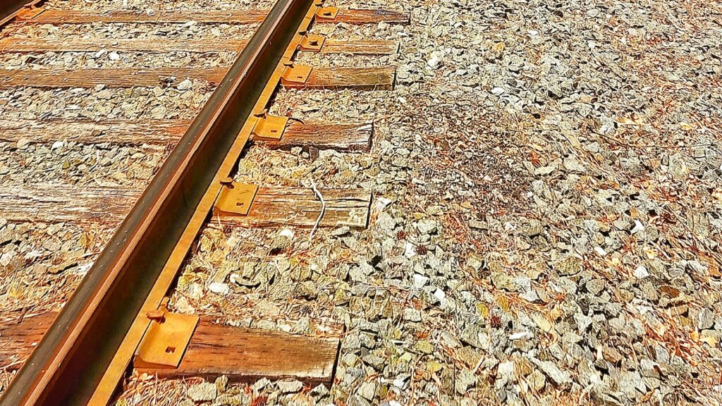 Limpeza Profissional de Calhas: Mantenha seu Telhado Protegido