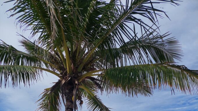 Encanador Florianópolis: Serviços Profissionais de Qualidade