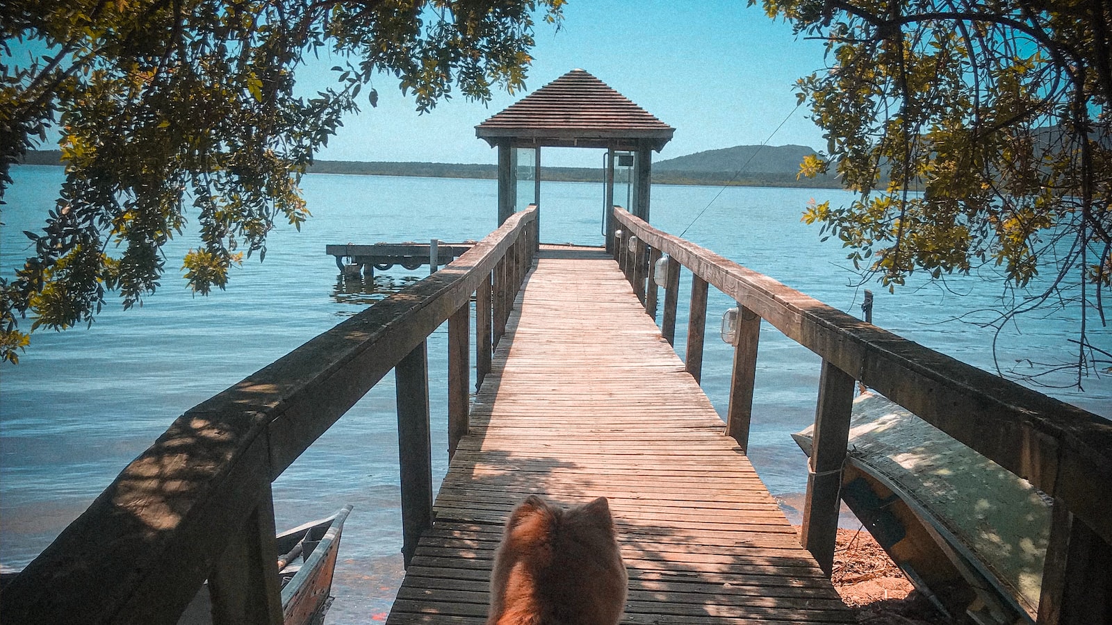 Explorando a‌ Beleza Artística dos Relógios de Água Antigos: ⁤Uma Fascinante ⁤Viagem ‌Visual